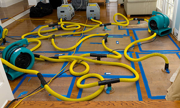 Professional Structural Drying And Dehumidification technician working in Valparaiso, FL